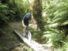 Mountain biking the Whakarewarewa Forest in Rotorua, New Zealand