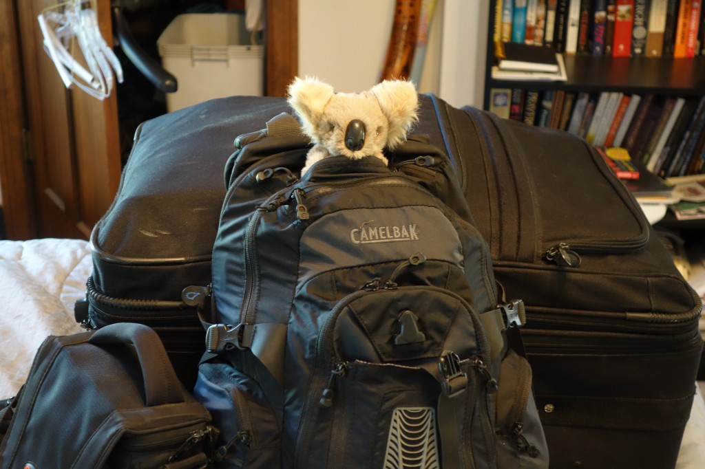 backpack, backpacking, budget, adventure, explore, U, university, world, campus, field, note, professor, koala, tourism, best, job