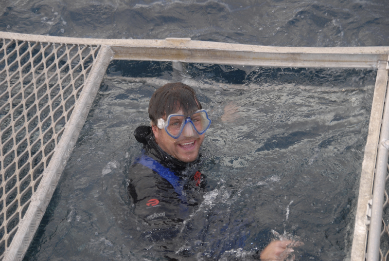 Cage diving with Great Whites off the coast of South Australia