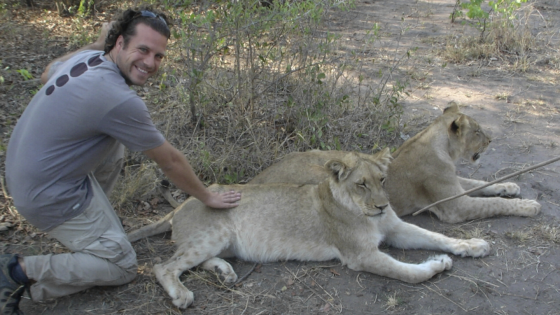 Petting lions- yes, that\'s right, LIONS- Livingstone, Zambia
