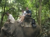 Elephant safari through the jungles of norhtern Thailand