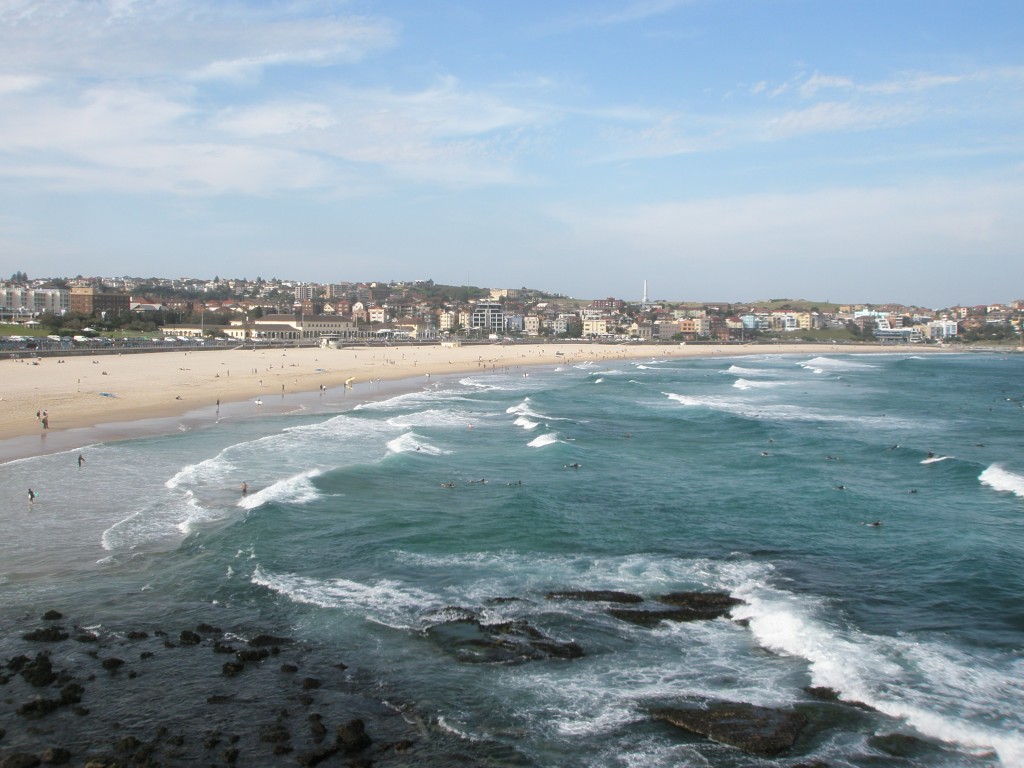 Field Notes with The Backpack Professor | The Coogee-to-Bondi Coastal Walk